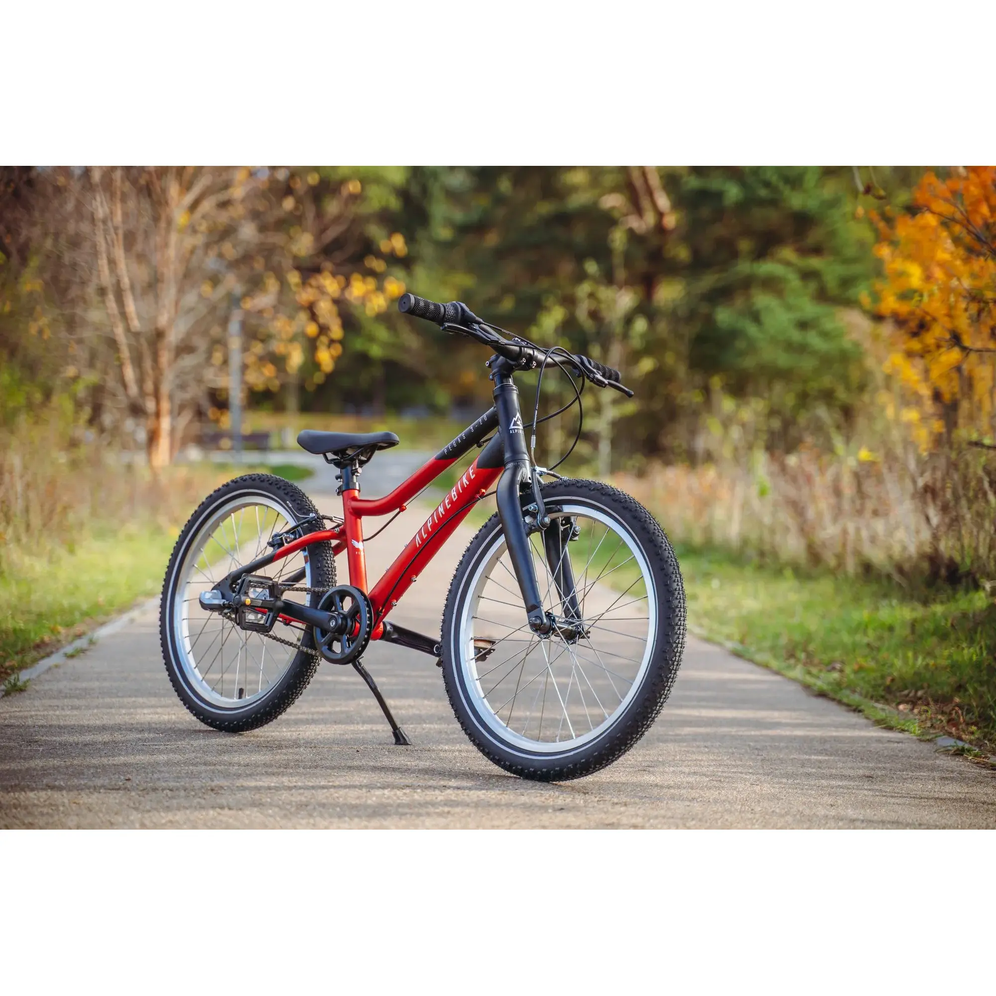 Детский велосипед Alpinebike Pegas 3-20 рассветный оранжевый 1