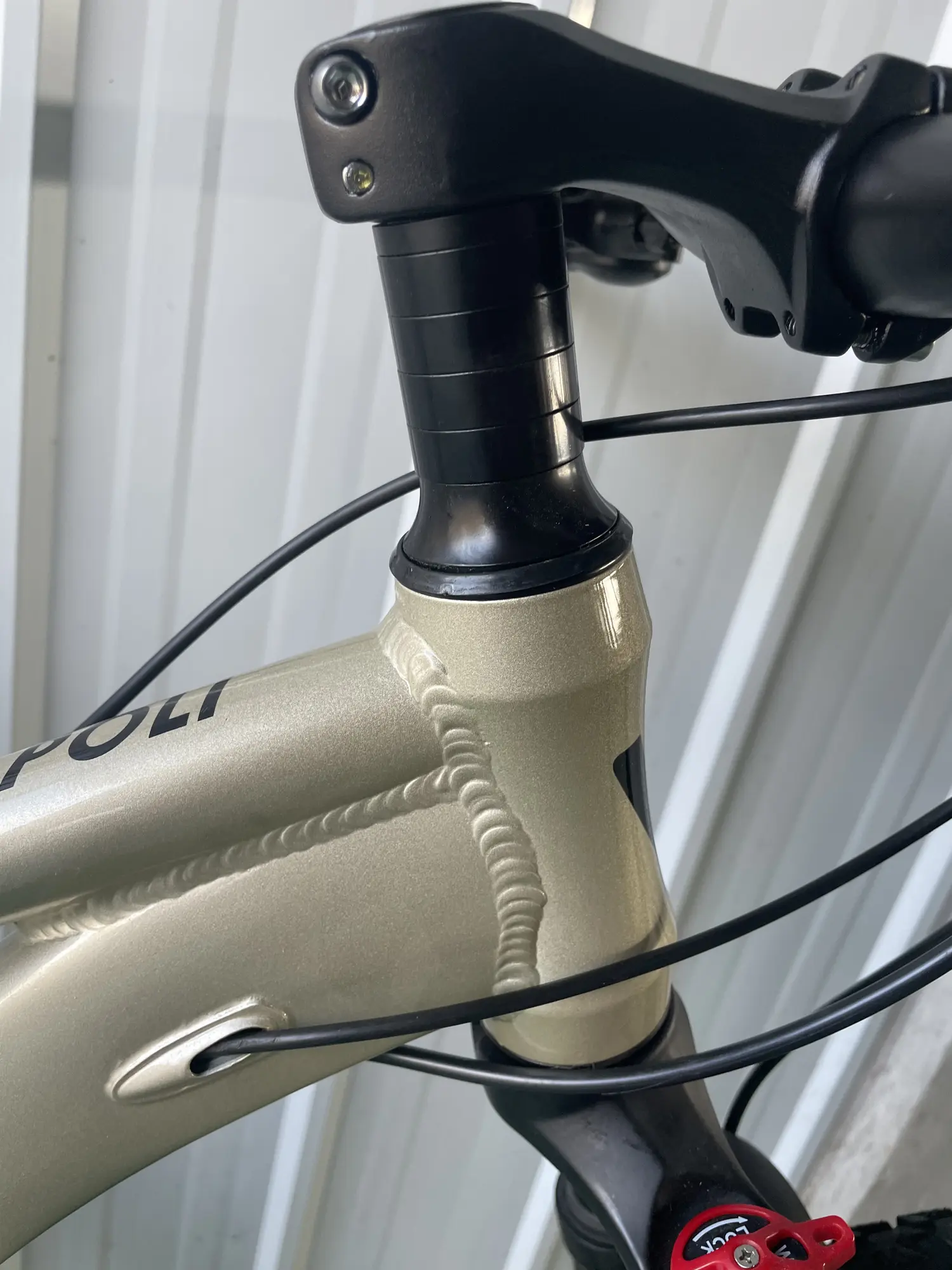 Велосипед WILD KAPOLI 1.0 29 золотой 1