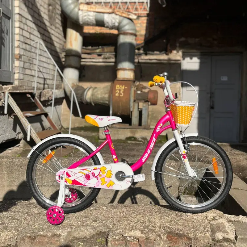 Детский велосипед AIST Skye 20 2024 (разобранный, розовый) 1