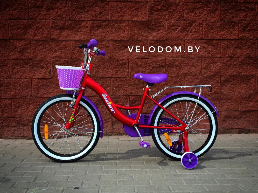 Aist Lilo 20" бордовый/фиолетовый 1