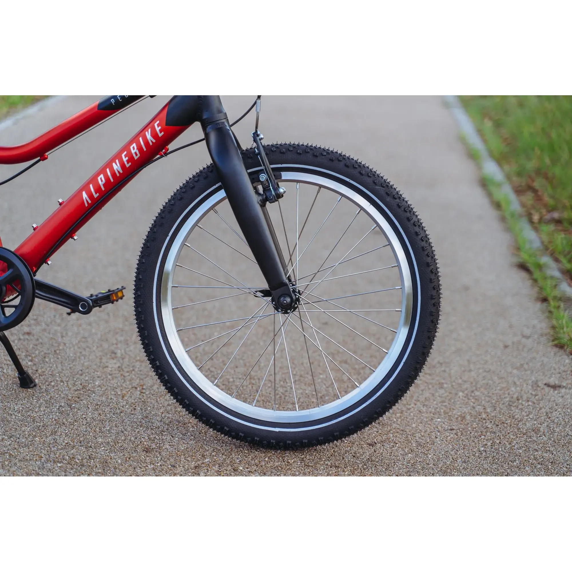 Детский велосипед Alpinebike Pegas 3-20 рассветный оранжевый 1