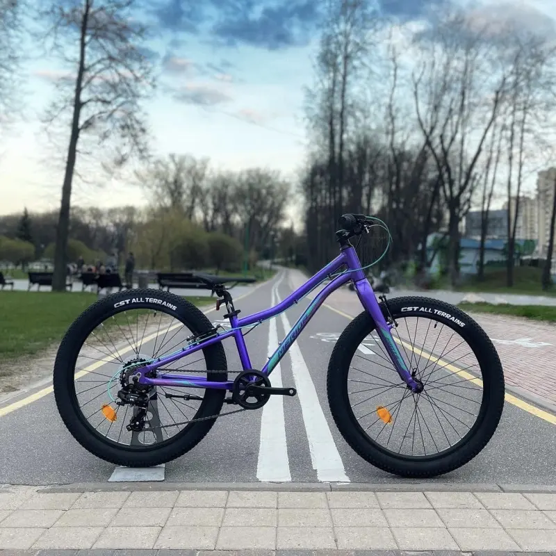 Merida Matts J24+ Eco темно-фиолетовый/розовый 1