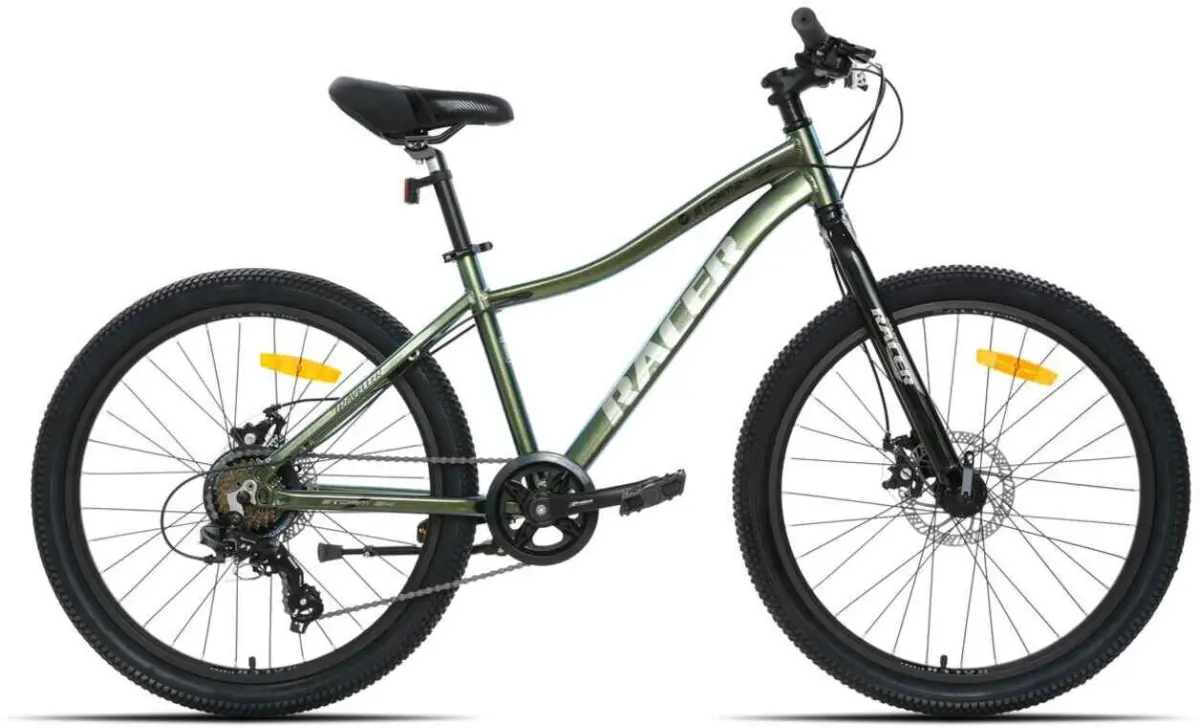 Racer Storm 24 зеленый хамелеон 1