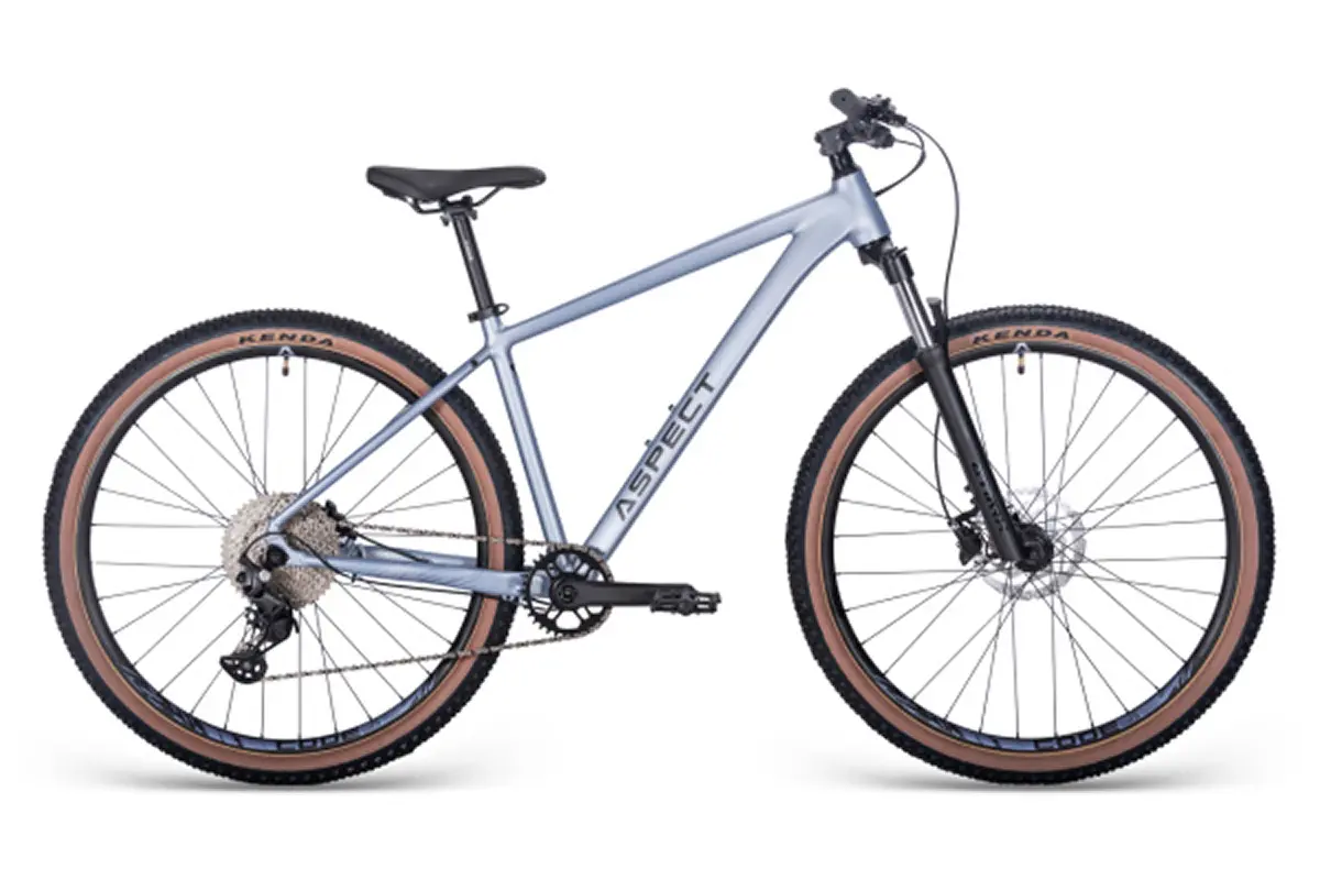 Aspect Cobalt Expert 29 Серый 1