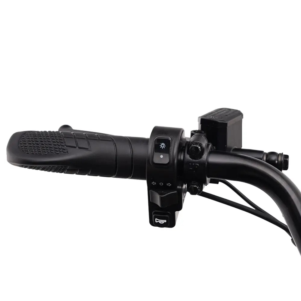 Ecoliner Monster 16 60V 21АH 750W черный 1