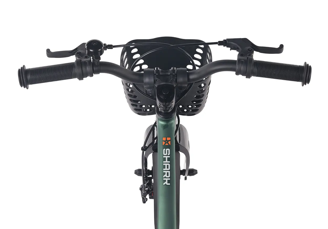 Детский велосипед Maxiscoo Shark Pro 18 2026 / MSC-SH1851P зеленый матовый 1