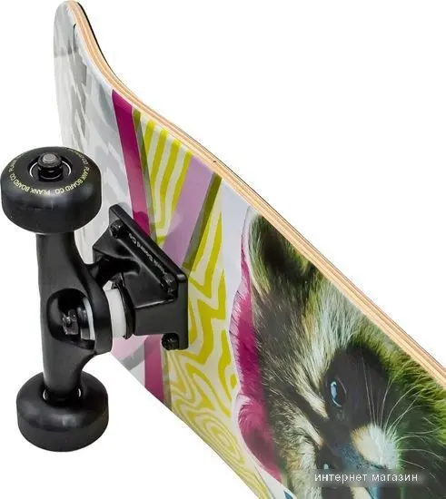 Скейтборд Plank Raccoon P22-SKATE-PACCON 1