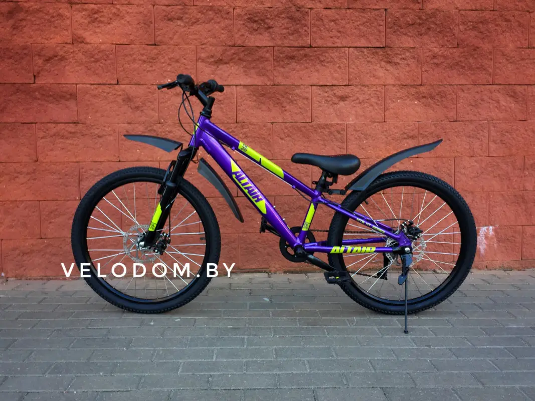 Altair AL 24 D фиолетовый/зеленый 1