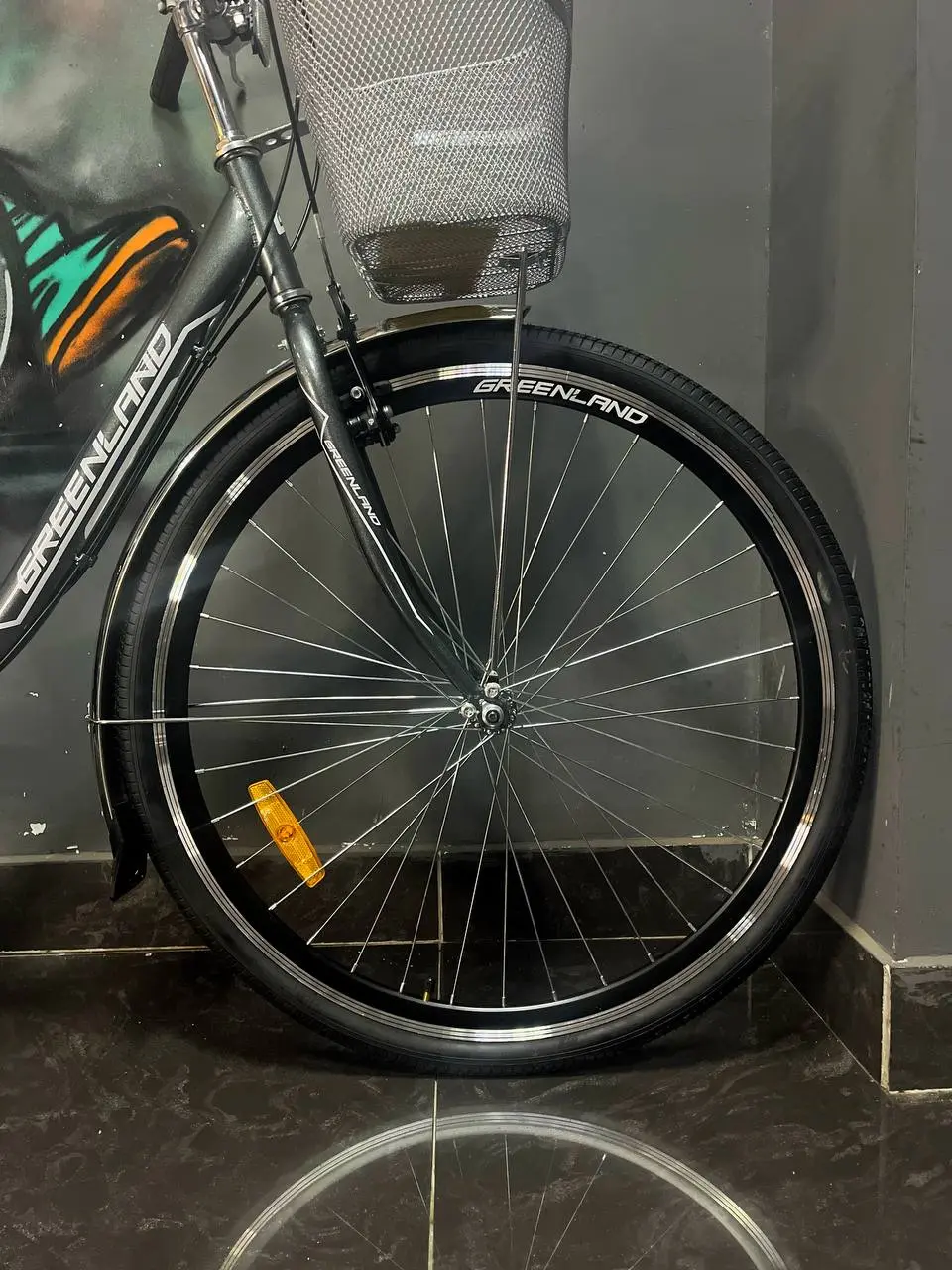 Велосипед Greenland Daisy 28 7S серый 1