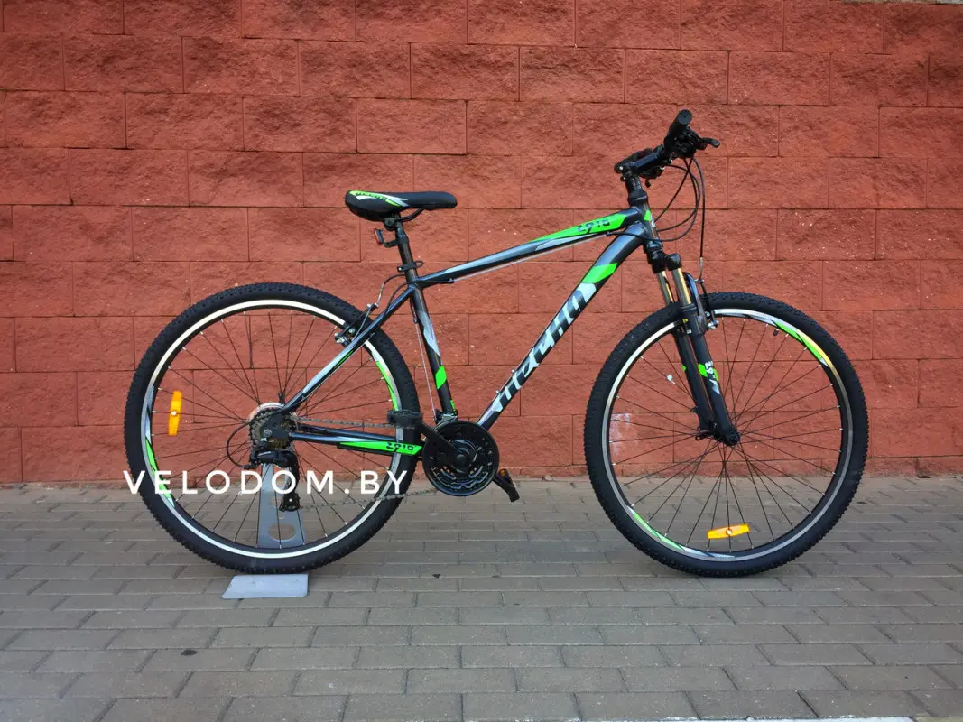 Десна 2910 V 29" серый/зеленый 1