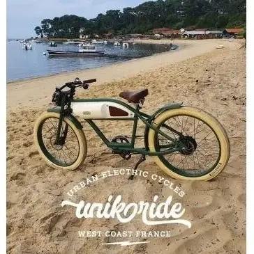 Электровелосипед Michael Blast Greaser Classic 500W 48V 14,5AH 1