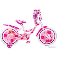 Детский велосипед Favorit Kitty 18 KIT-18PN (розовый) 2