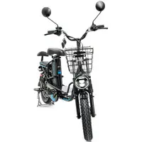 Электровелосипед Smart Balance Master 2024 1