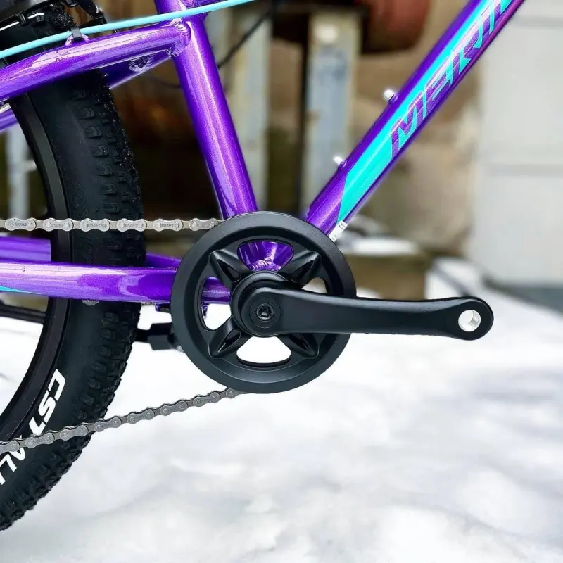 Merida Matts J24+ Eco темно-фиолетовый/розовый 1