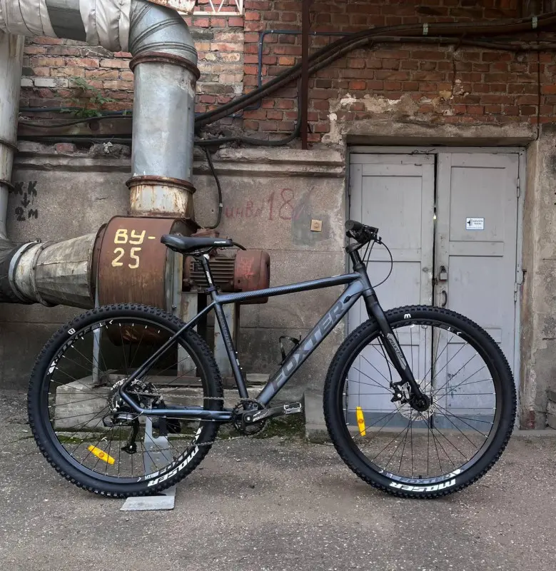 Foxter Aspire 29 графитовый 1