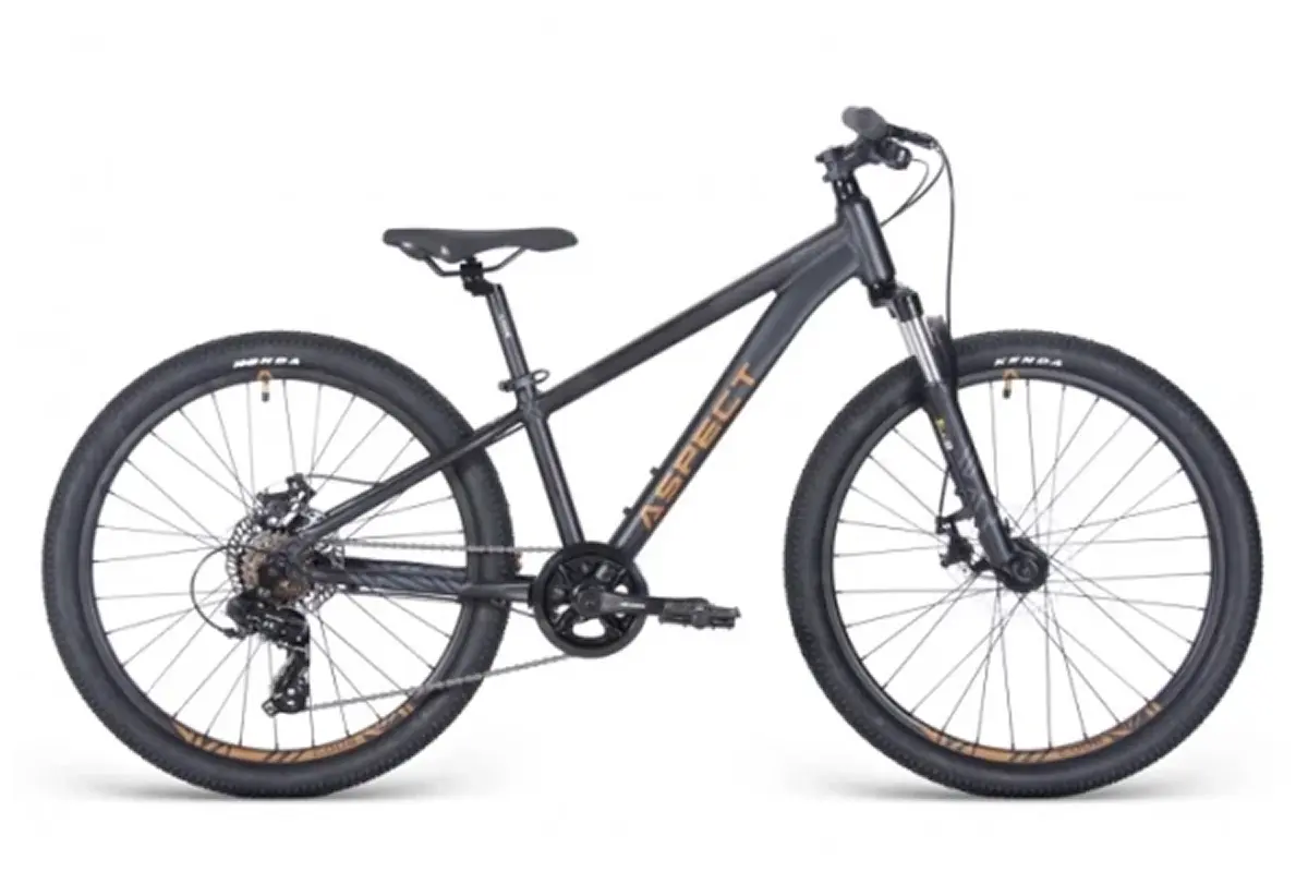 Aspect Winner 24 черный 1