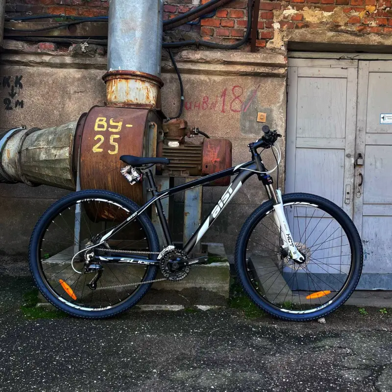 Aist Slide 3.0 29 черно-белый 1