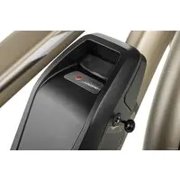 Электровелосипед MyWay Let 250 26 (бронзовый) 1
