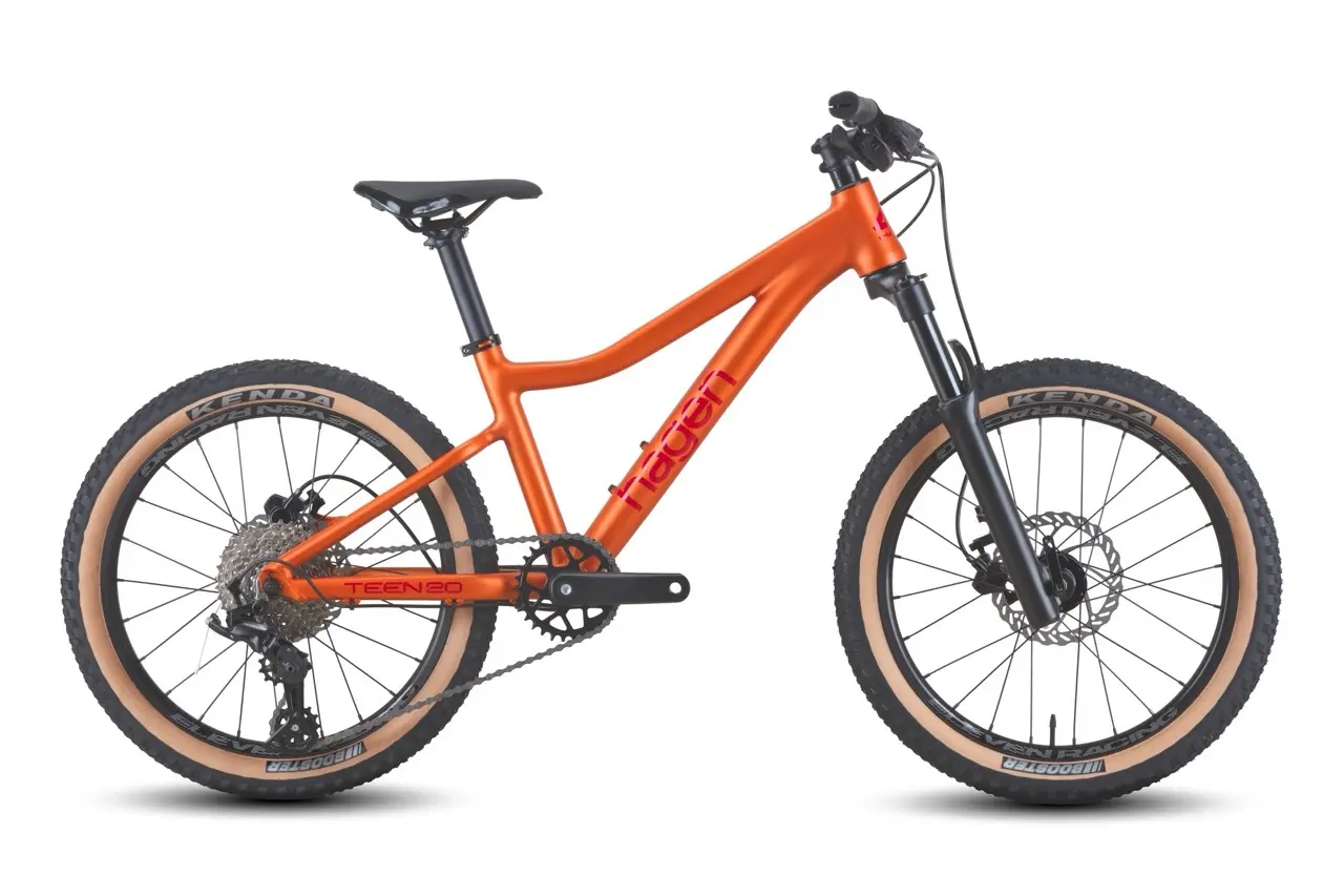 Hagen TEEN 20 медный матовый 1