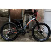 Детский велосипед Stels Leader 220 MD 2024 (серый) 1