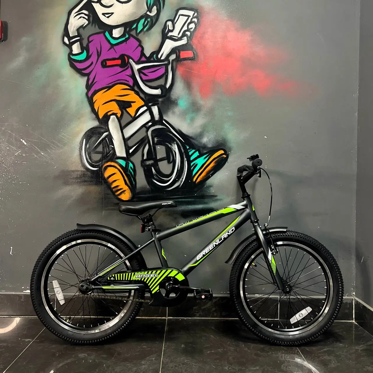 Детский велосипед Greenland Angel S 20 серый 1