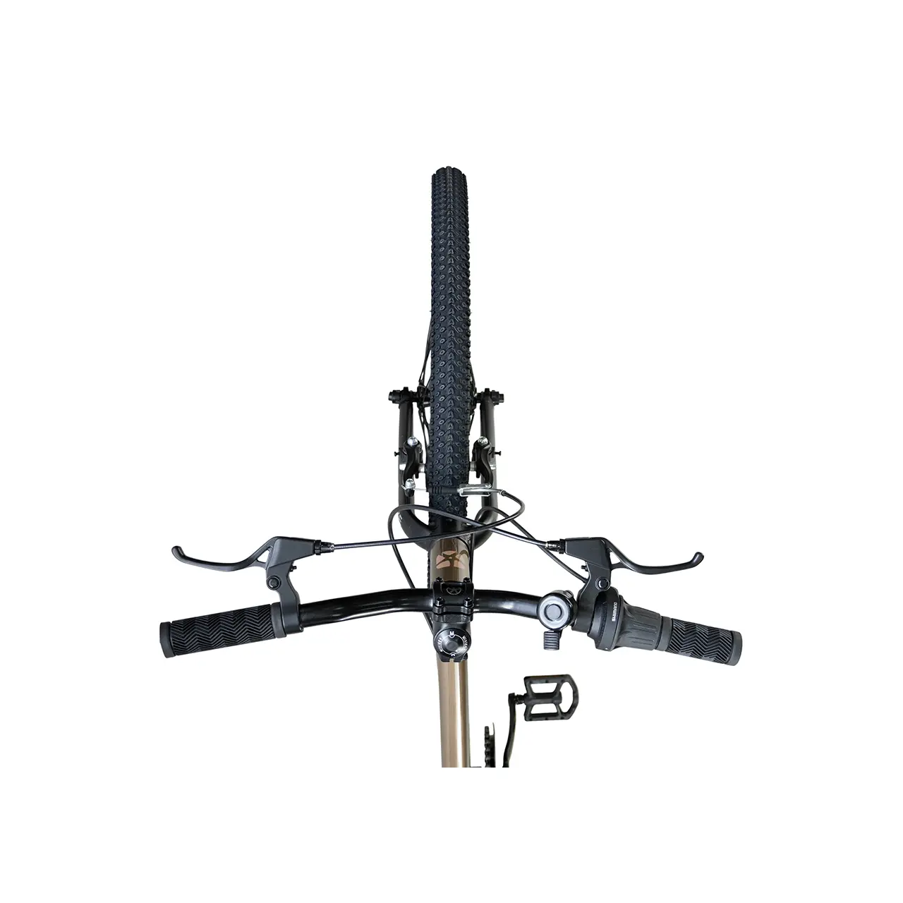 Велосипед детский Maxiscoo 1BIKE 24 Бронзовый Матовый (2026) (MSC-M1-2452) 1