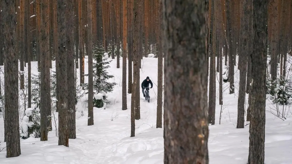 FORMAT 5232 29 серо-синий 1