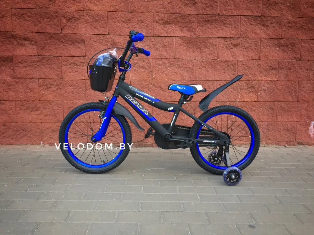 Детский велосипед Delta Sport 18 (черный/синий, 2019) 1