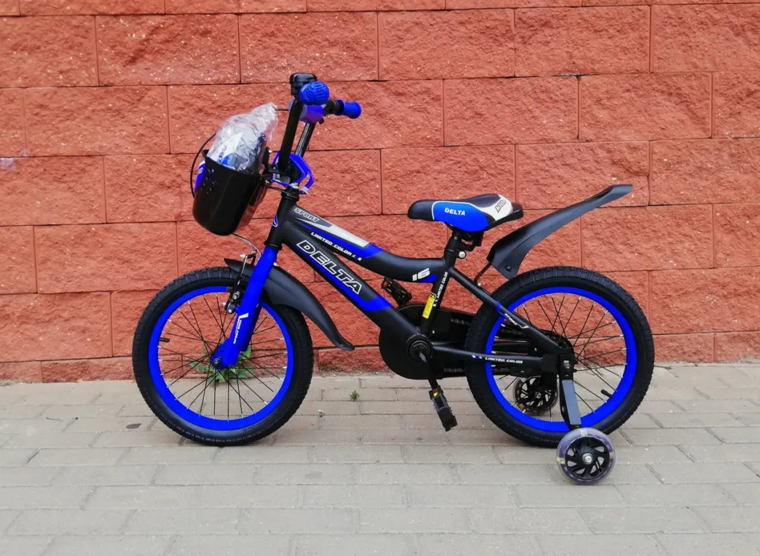 Delta Sport 16 черный/синий 1
