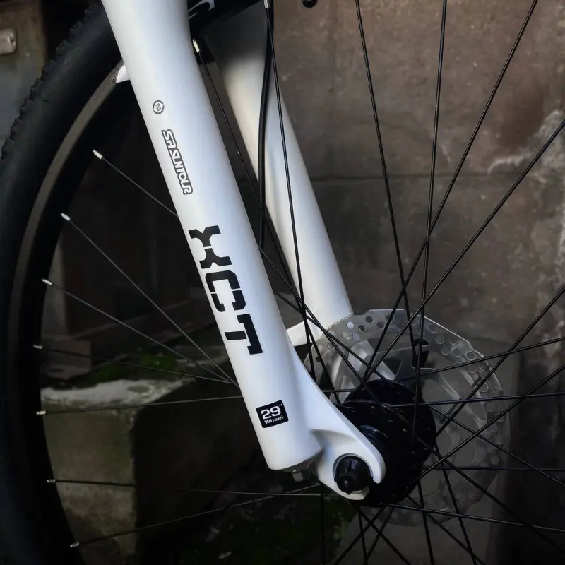 Aist Slide 3.0 29 черно-белый 1