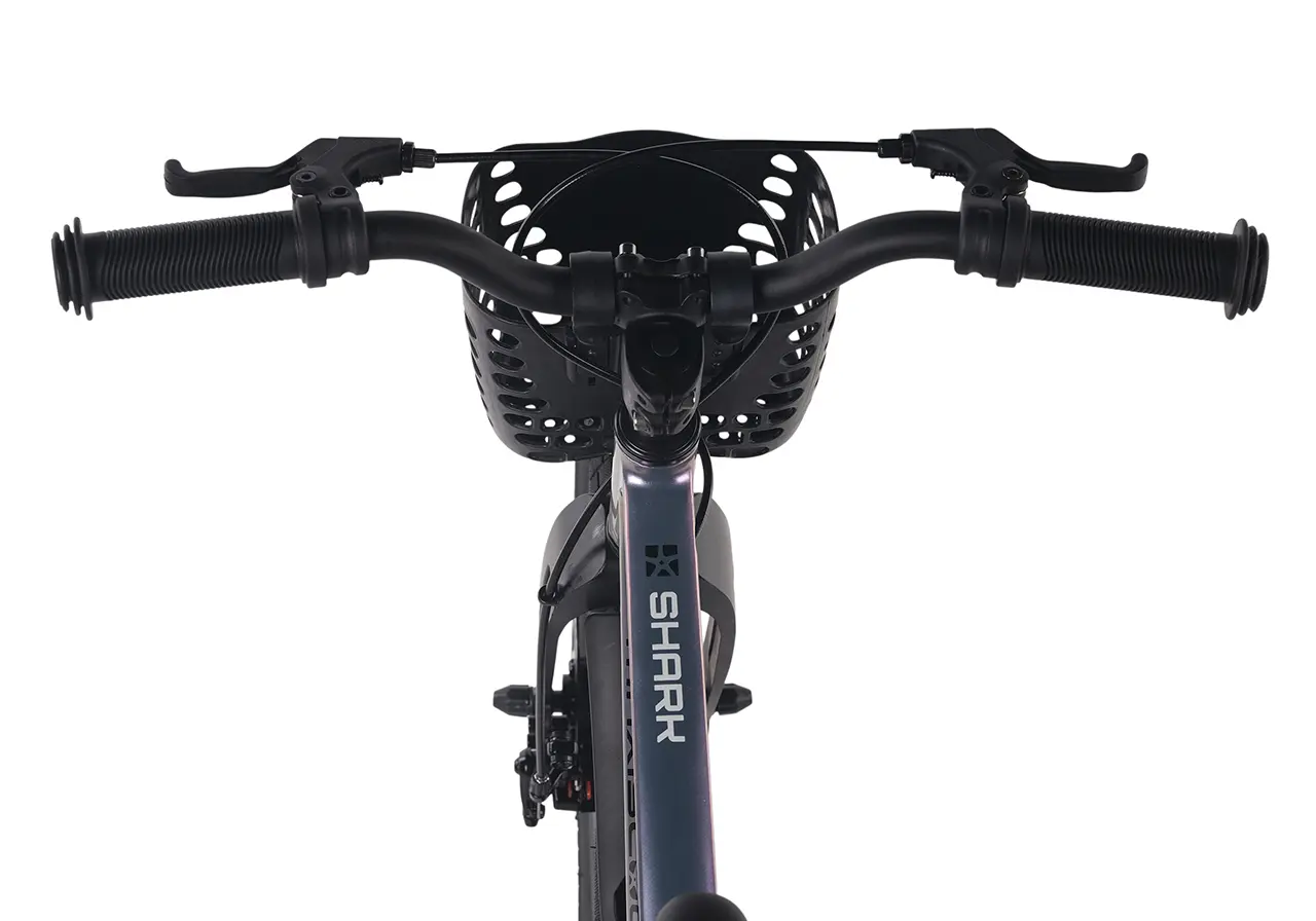 Детский велосипед Maxiscoo Shark Pro 18 2026 / MSC-SH1853P хамелеон 1