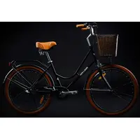 Велосипед Foxter Holland 2022 (черный) 2