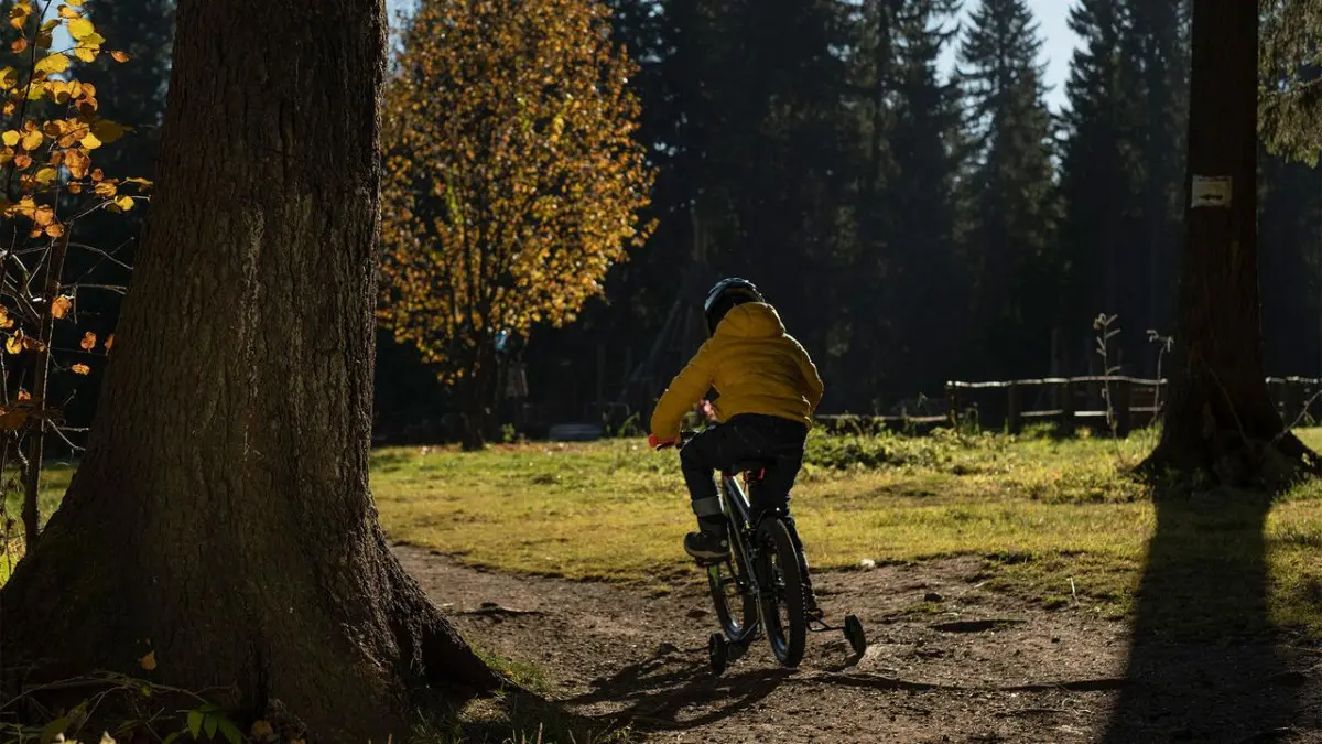 Format kids bmx 14" синий 2