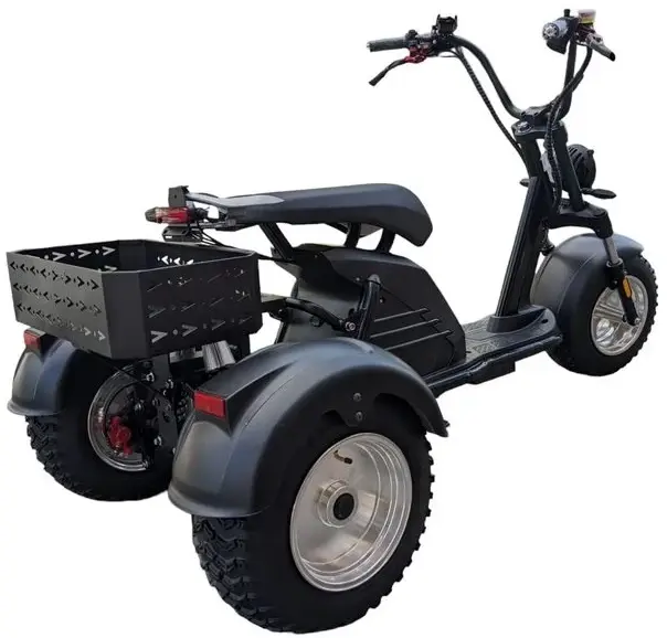 Трехколесный CityCoco M6 Pro 1