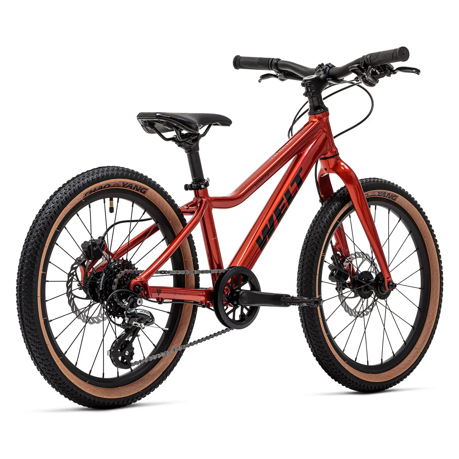 Детский велосипед Welt Moovix 3.0 20 HD Electric Copper 1