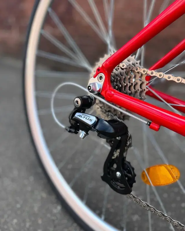 Bear Bike Amsterdam красный 1