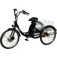 Электровелосипед Smart Balance Fermer 2024 (черный) 1