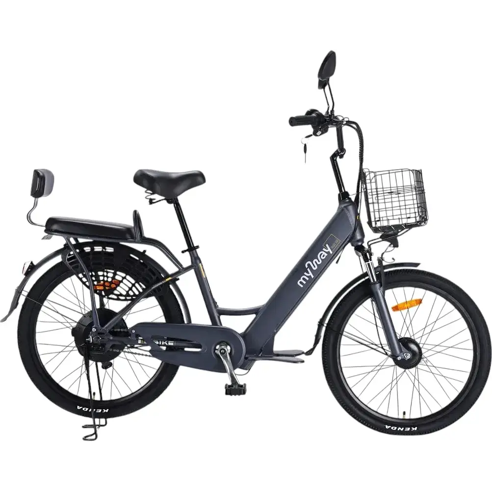 Электровелосипед MyWay Truck 500 24 графитовый 1
