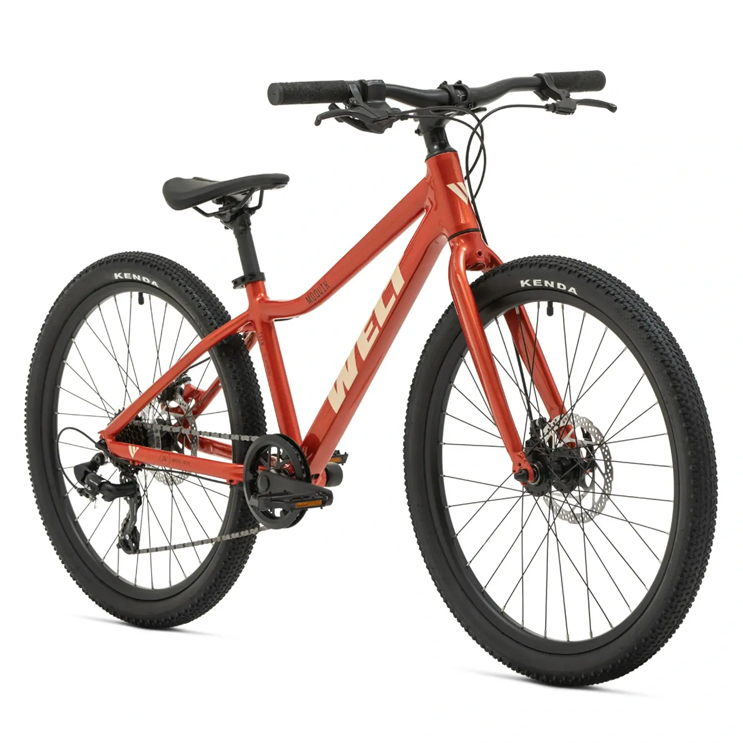 Подростковый велосипед Welt Moovix 1.0 24 MD Shiny Orange 1