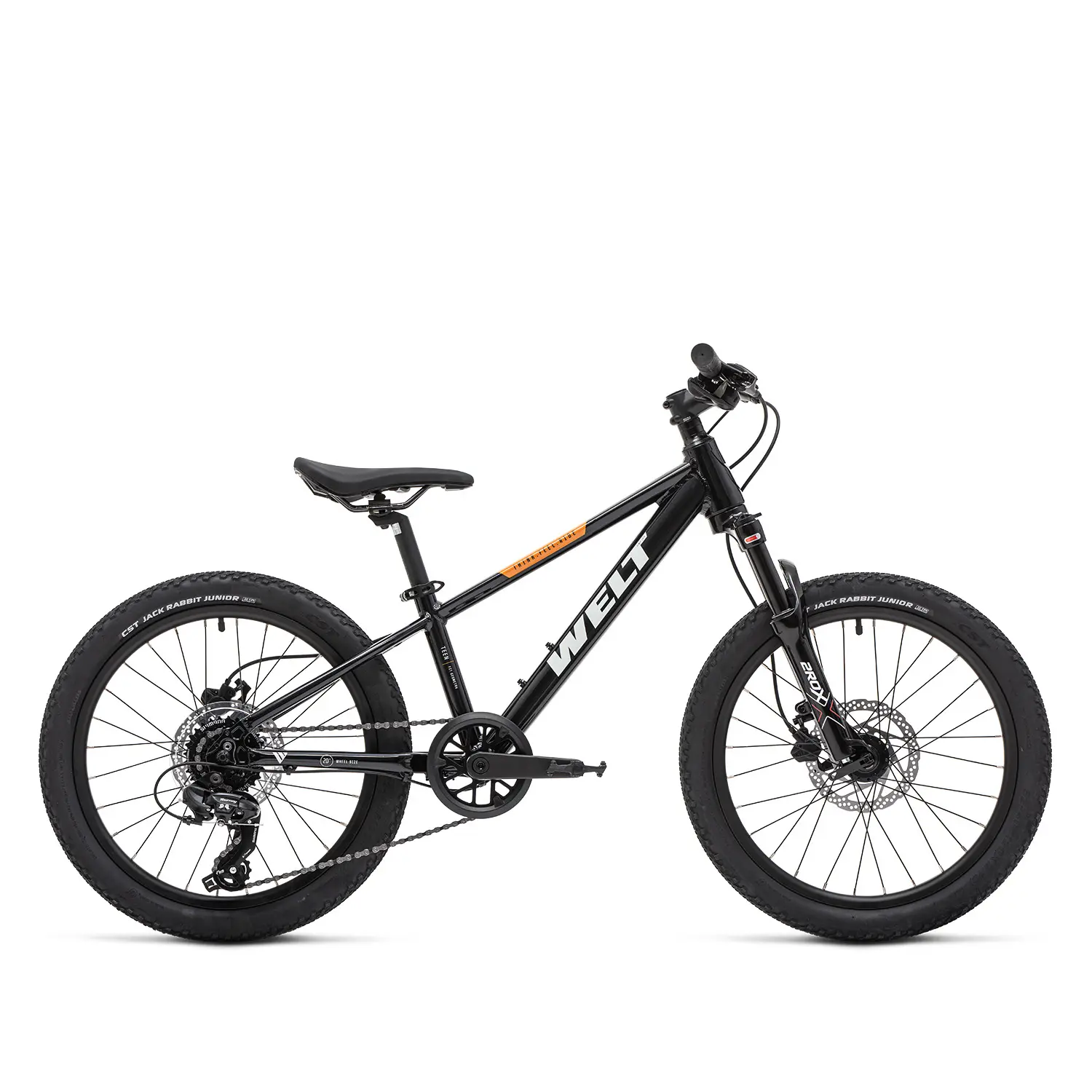 Велосипед Welt Brave 1.0 20 HD Fast Black 1