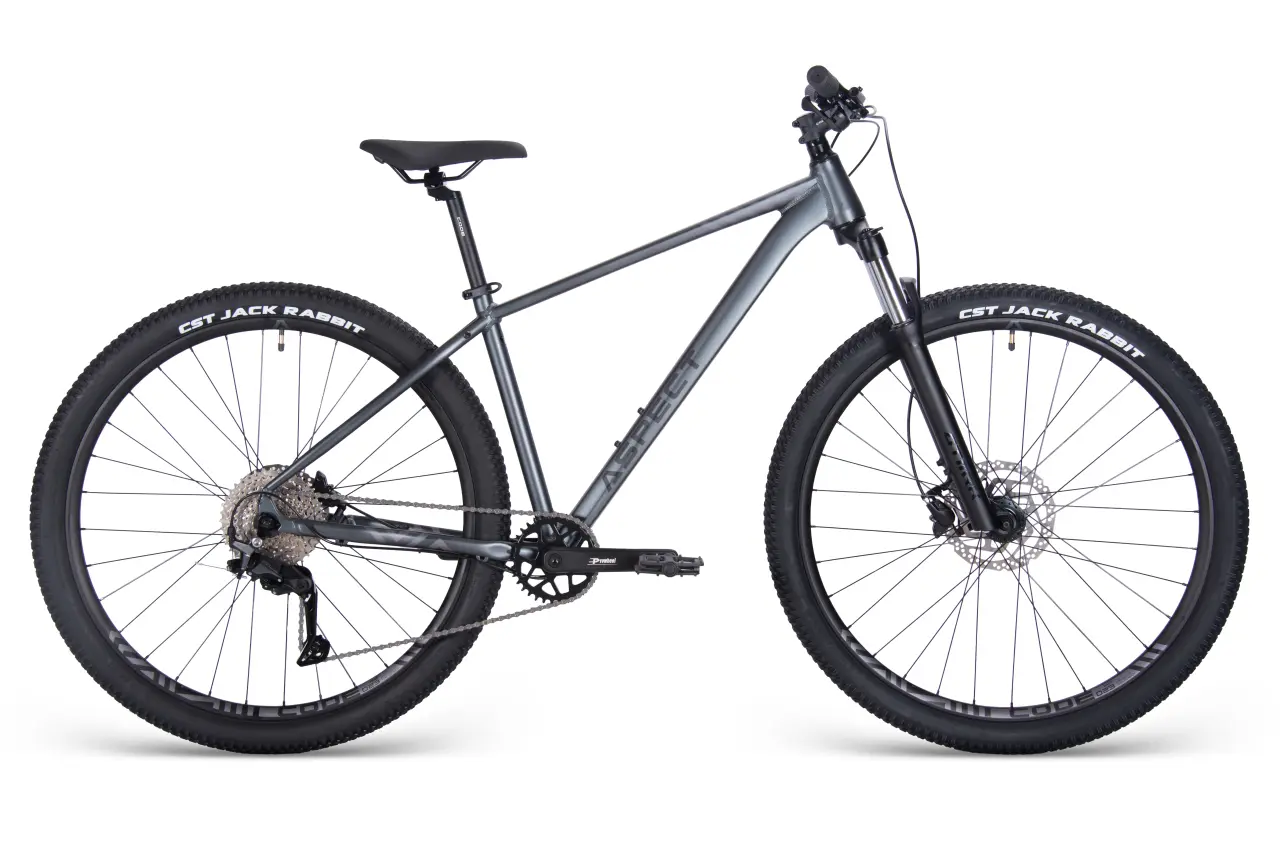 Велосипед Aspect Nickel Elite 29 2025 серый 1