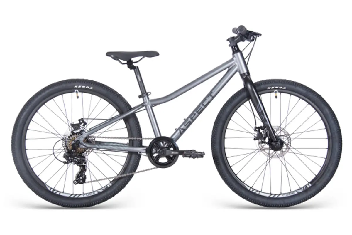Aspect Winner Lite 24 серый 1