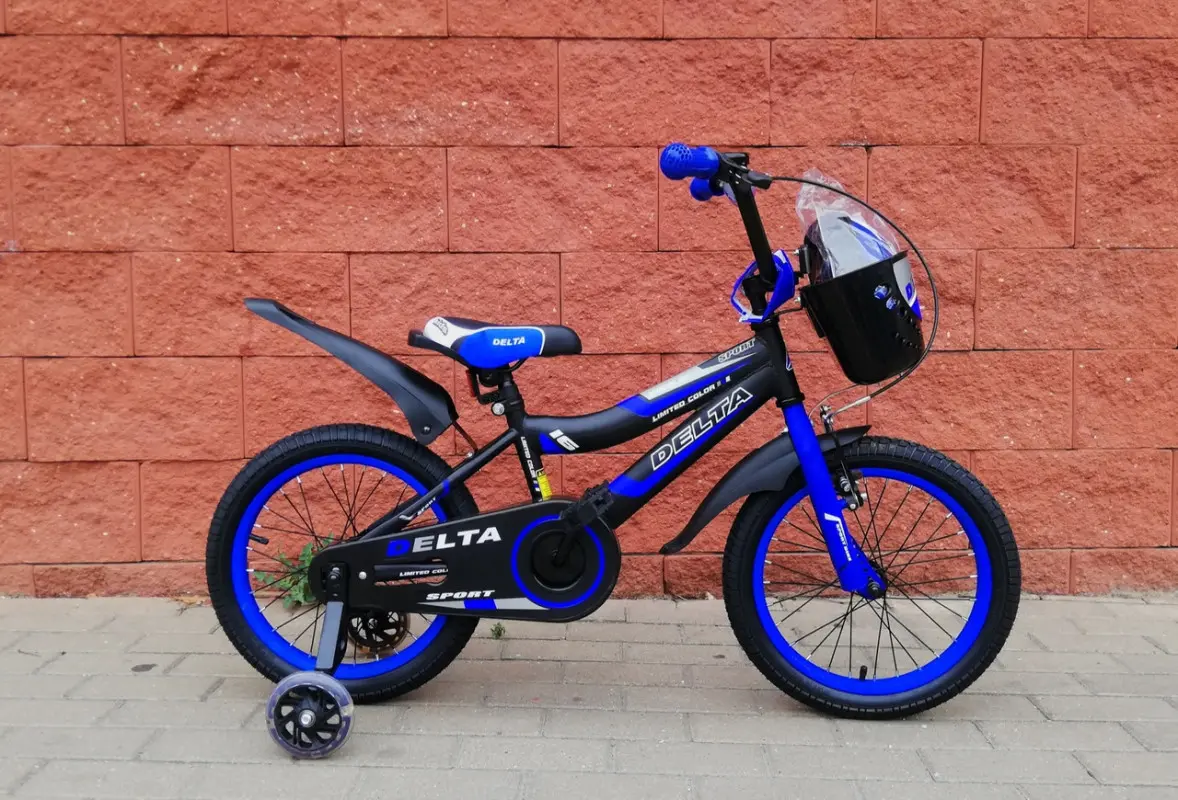 Delta Sport 16 черный/синий 1