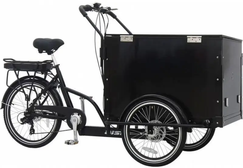 Aist E-Cargo черный 1