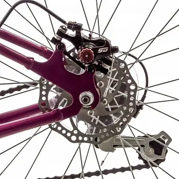 Novatrack Jenny Pro D вишневый 1