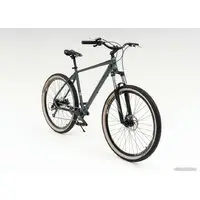 Велосипед Foxter Dallas 29 р.21 2024 (серый) 1