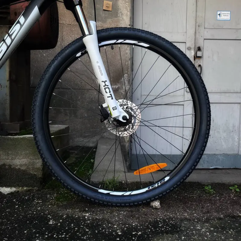 Aist Slide 3.0 29 черно-белый 1