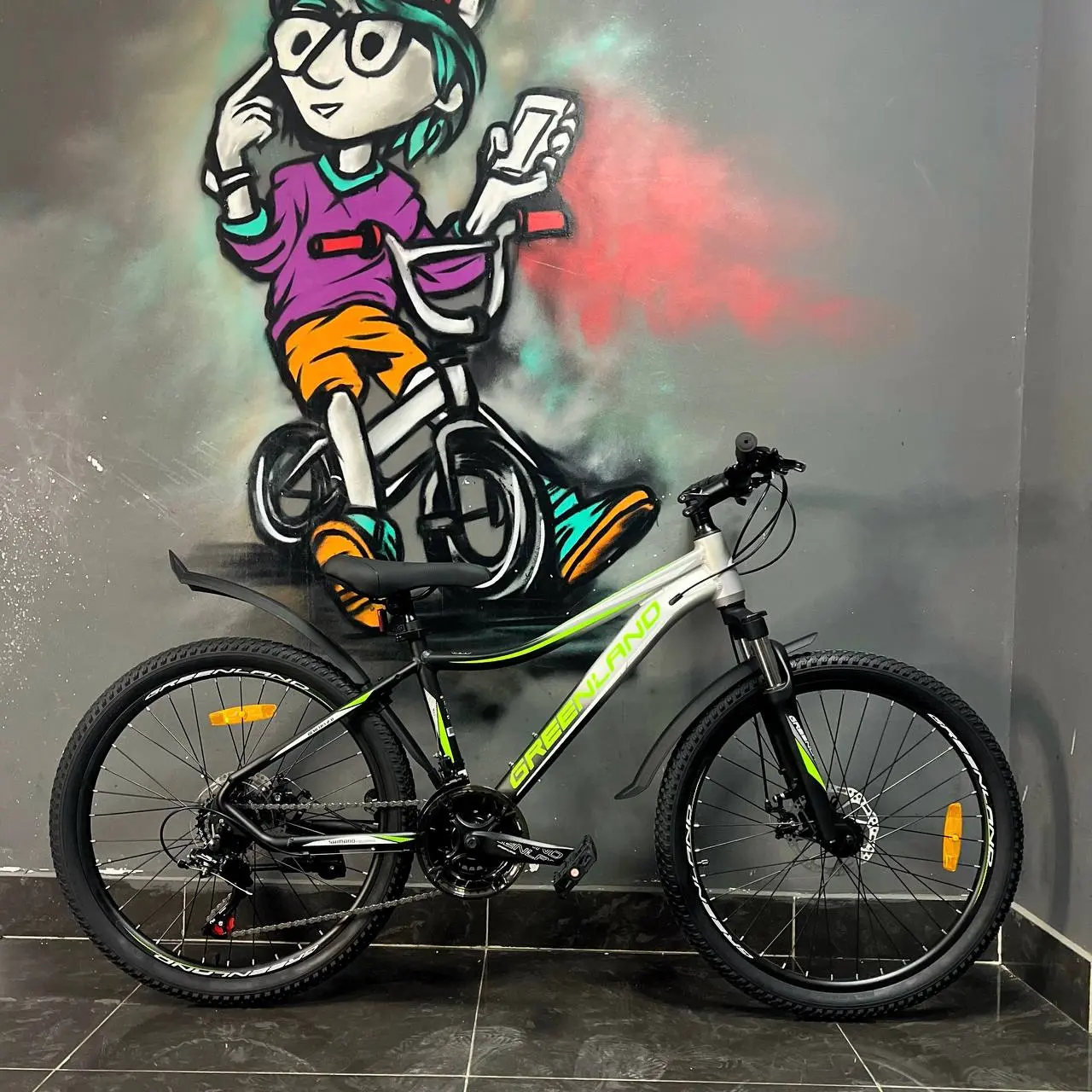 Велосипед Greenland Demetra 24 2.0 черный 2