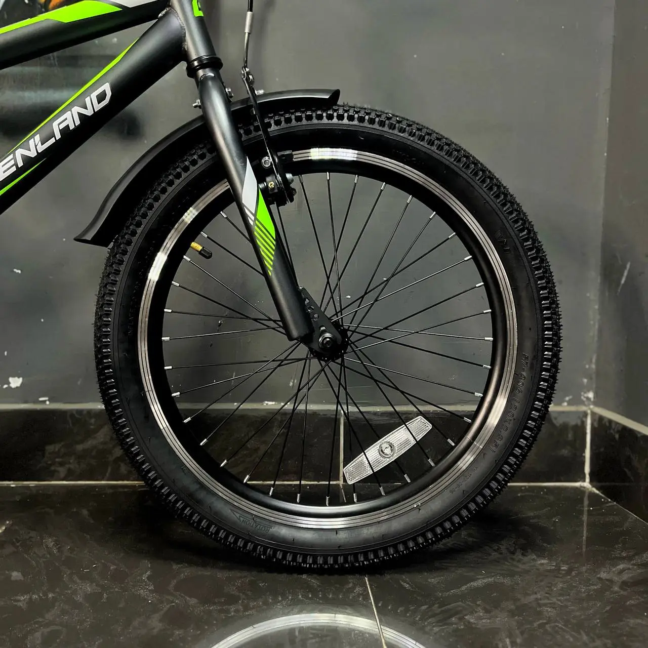 Детский велосипед Greenland Angel S 20 серый 1