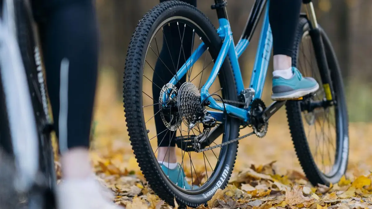 FORMAT 7715 27.5 бежевый 1